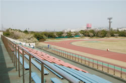 �ӂꂠ���������㋣�Z��